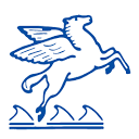 Pegasus Cruises